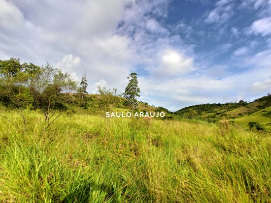 Fazenda em Simão Pereira / MG