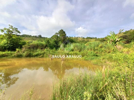 Fazenda em Simão Pereira / MG