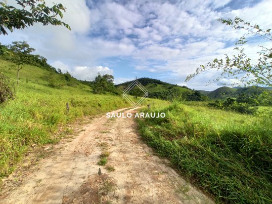 Fazenda em Simão Pereira / MG