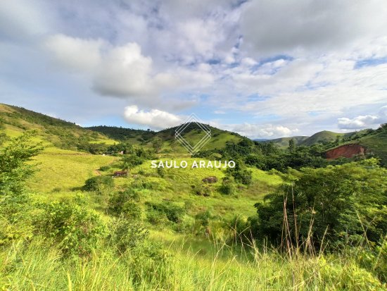 Fazenda em Simão Pereira / MG