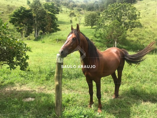 Fazenda em Petrópolis / RJ