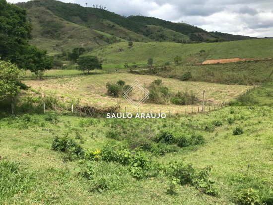 Fazenda em Vassouras / RJ