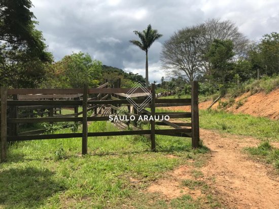 Fazenda em Vassouras / RJ