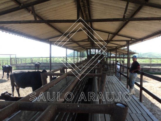 Fazenda em Cachoeiras De Macacu / RJ