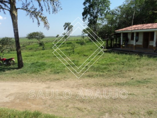 Fazenda em Cachoeiras De Macacu / RJ