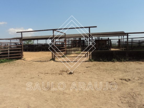 Fazenda em Cachoeiras De Macacu / RJ