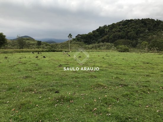 Fazenda em Guapimirim / RJ