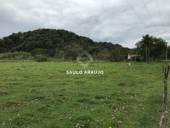 Fazenda em Guapimirim / RJ