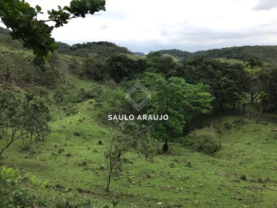 Fazenda em Guapimirim / RJ