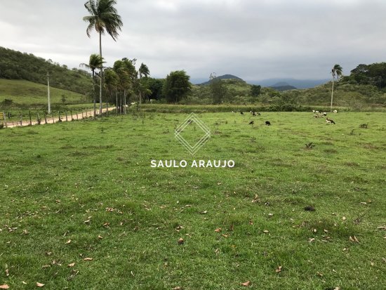 Fazenda em Guapimirim / RJ