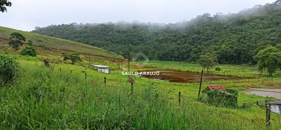 Fazenda em Pequeri / MG