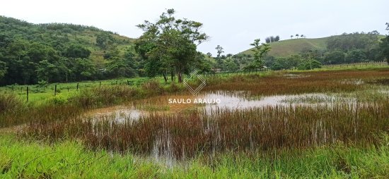 Fazenda em Pequeri / MG