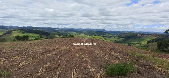 Fazenda em Pequeri / MG