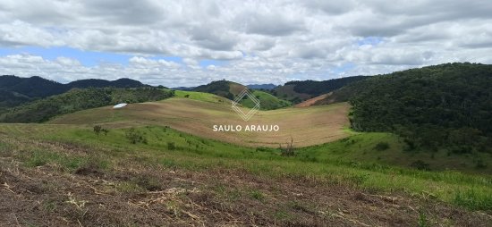 Fazenda em Pequeri / MG