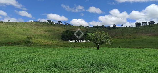 Fazenda em Pequeri / MG