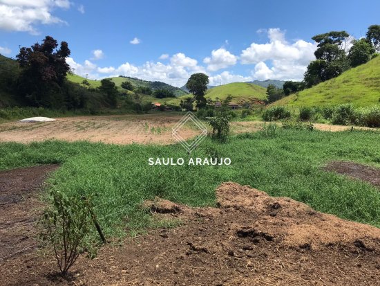 Fazenda em Carmo / RJ