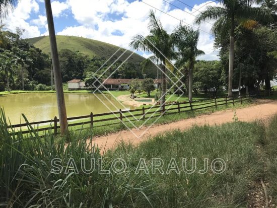 Fazenda em Paraíba Do Sul / RJ