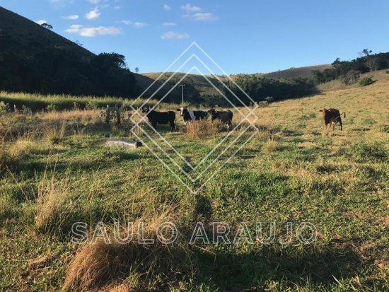 Fazenda em Paraíba Do Sul / RJ