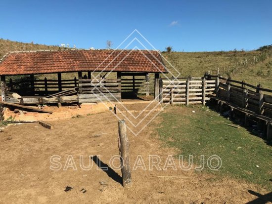 Fazenda em Paraíba Do Sul / RJ