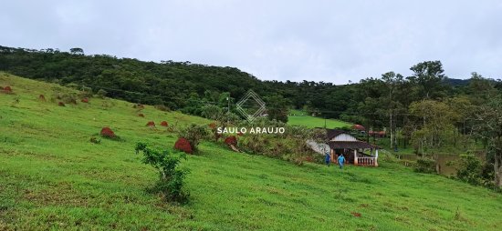 Fazenda em Pequeri / MG