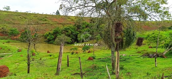 Fazenda em Pequeri / MG