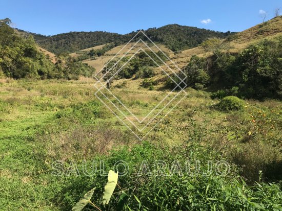 Fazenda em Rio Das Flores / RJ