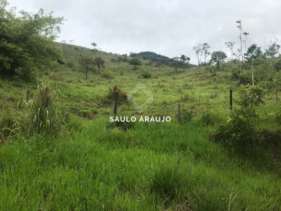 Fazenda em Rio Das Flores / RJ