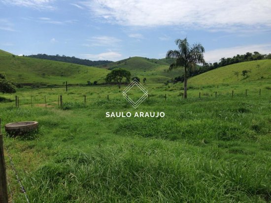 Fazenda em Rio Das Flores / RJ