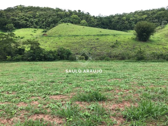 Fazenda em Santana Do Deserto / MG