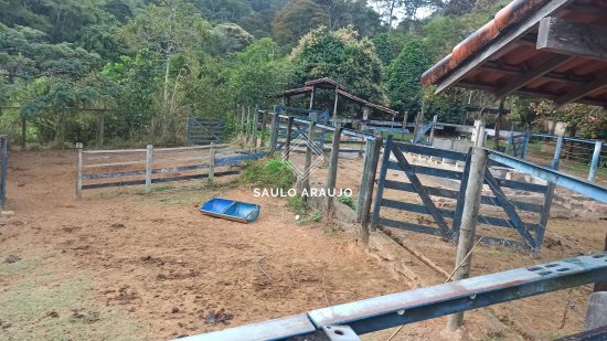 Fazenda em Sapucaia / RJ