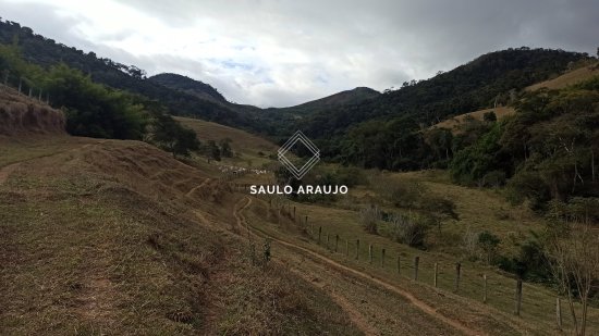 Fazenda em Sapucaia / RJ