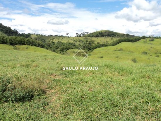 Fazenda em Três Rios / RJ