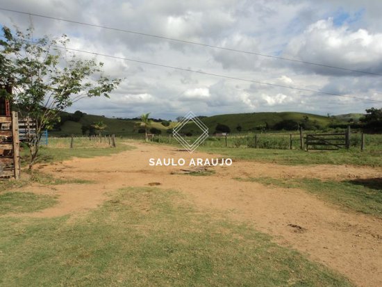 Fazenda em Três Rios / RJ