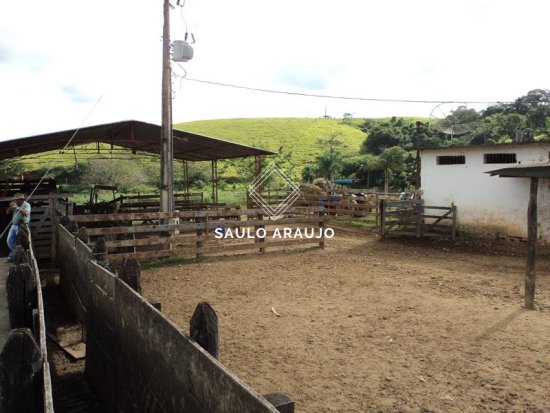 Fazenda em Três Rios / RJ