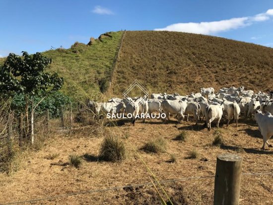 Fazenda em Três Rios / RJ