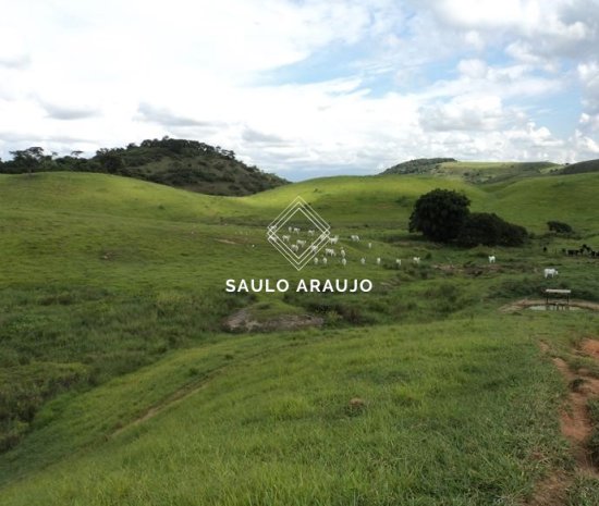 Fazenda em Três Rios / RJ