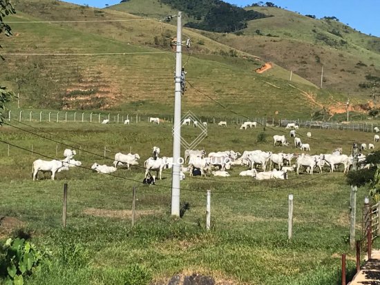 Fazenda em Valença / RJ