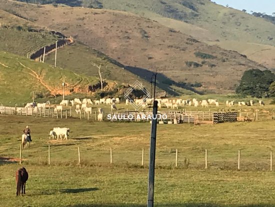 Fazenda em Valença / RJ