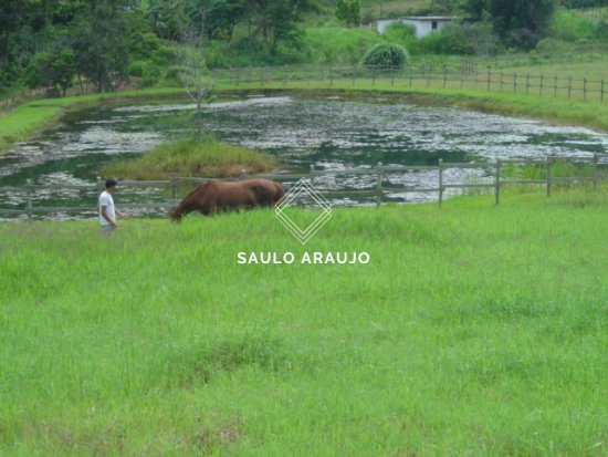 Haras em Petrópolis / RJ