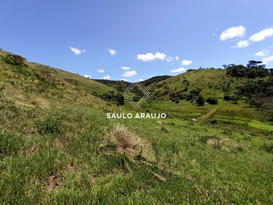 Terreno em Paraíba Do Sul / RJ