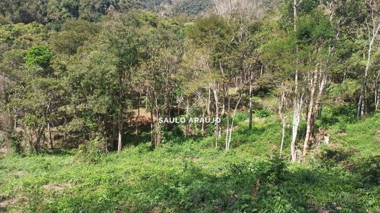 Terreno em Petrópolis / RJ