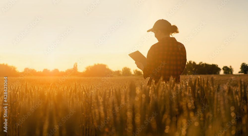 Guia definitivo para comprar uma propriedade rural: tudo o que você precisa saber